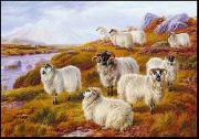 unknow artist Sheep 063 USA oil painting artist
